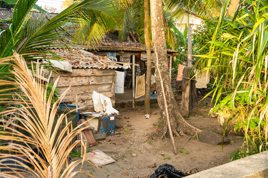 View of a traditional wooden house surrounded by lush palm trees and laundry hanging in a yard in Galle, Southern Province, Sri Lanka.