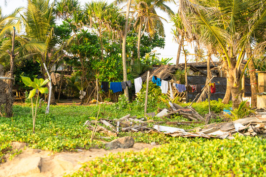 View of laundry hanging on a clothesline between palm trees and lush tropical vegetation near a sandy beach area in Galle, Southern Province, Sri Lanka.