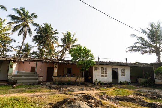 View of modest local houses surrounded by tropical palm trees and rocky terrain in Galle, Southern Province, Sri Lanka.