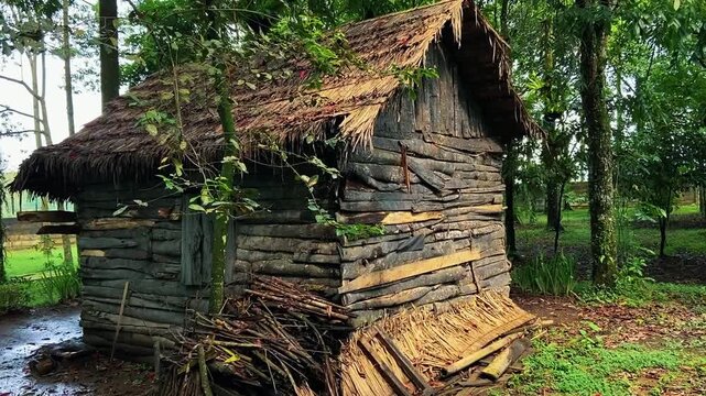 old wooden house, forest house, Old rustic wooden hut with a thatched roof surrounded by lush green trees in a rural tropical forest. Rustic Wooden Hut in the Forest, abandoned house