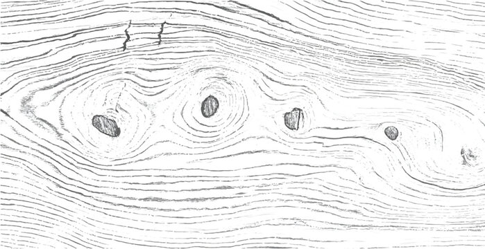 Close up of light wood grain with multiple knots wood texture grain pattern light background weathered knot surface background material close up woodwork abstract horizontal