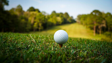 Obraz premium Golf ball on green grass in the evening golf course with sunshine background.