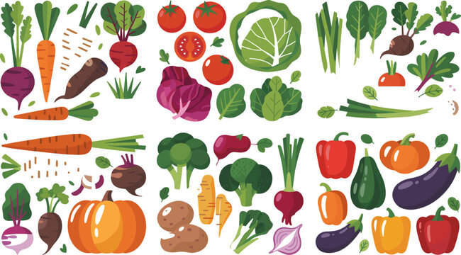 Colorful Fresh Vegetable Collection with Tomato, Carrot, Broccoli, Pepper, Pumpkin, and Greens Flat Design Vector Illustration Set