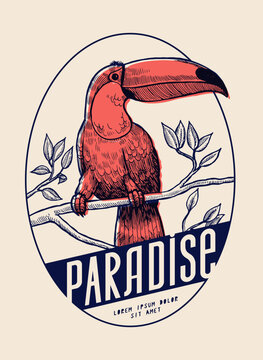 Toucan Paradise. Tropical bird sitting on a branch vintage typography silkscreen t-shirt print vector illustration.