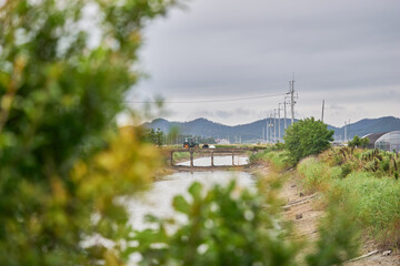 A tranquil rural landscape features a calm waterway flowing through agricultural fields. Blurred foreground foliage frames a small bridge where a green tractor crosses, highlighting quiet farming life © 진영김