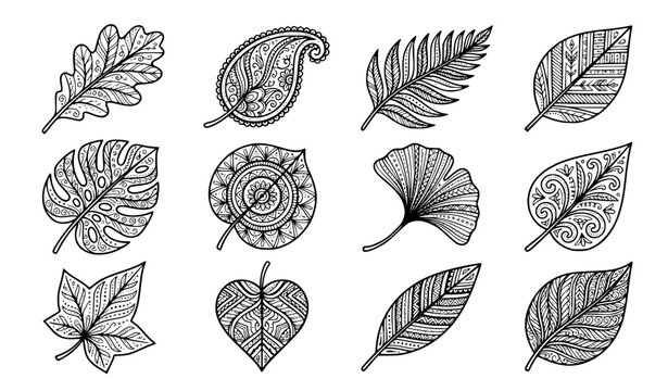 Set of 12 Decorative Linear Leaf Motifs in 16:9 Aspect Ratio for Botanical Stationery and Contemporary Graphic Design Elements Isolated Black and White Vector