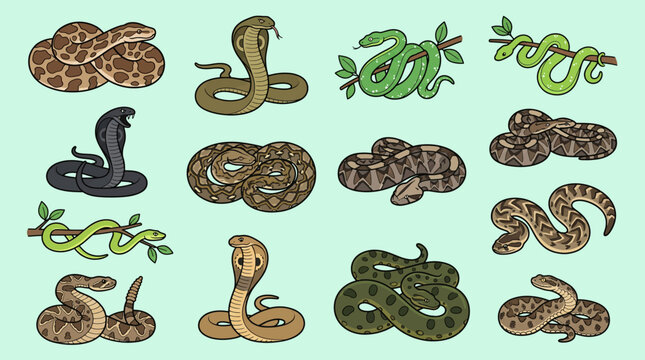 A cohesive flat vector asset showcasing a diverse collection of stylized snakes in various poses and species, set against a muted backdrop