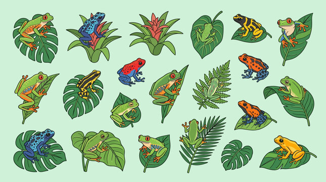 Collection of colorful tropical frogs on lush green leaves, illustrated in a charming flat vector style, perfect for nature and wildlife themes