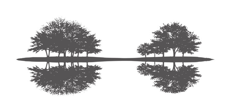 Dark gray trees reflected in still water white reflection nature silhouette