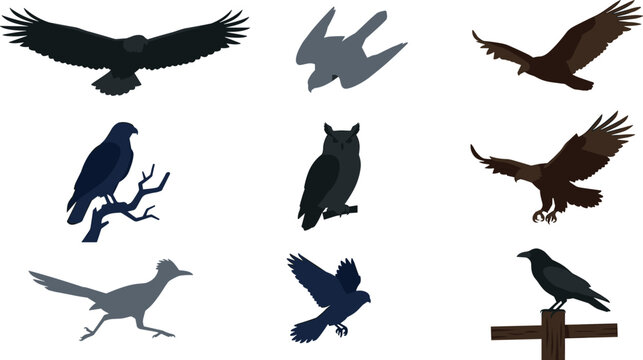 Bird Silhouette Collection with Flying Ravens, Eagles, Owls, and Perched Crow Shapes for Wildlife Vector Illustration Set