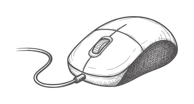 Hand drawn of a wired computer mouse white technology