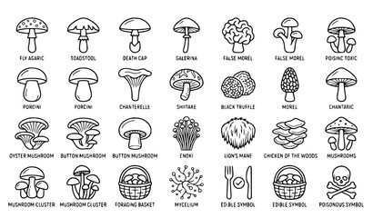 Poisonous and edible mushroom outline icons set vector illustration © MD