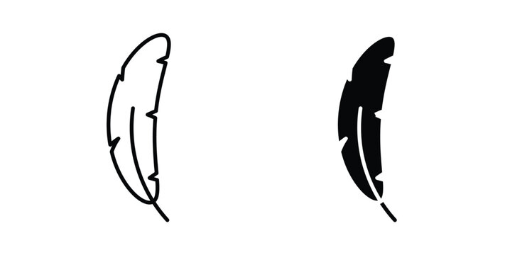 Feather icon
