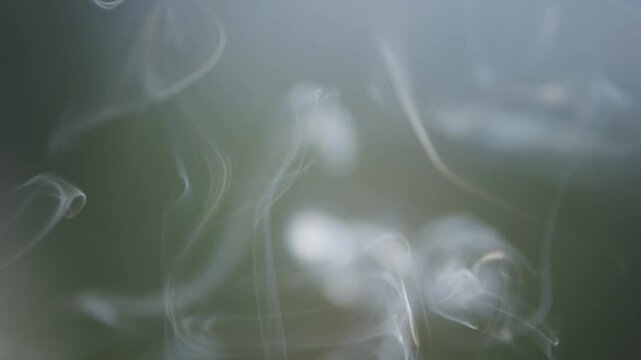 Real smoke wisps rising and swirling slowly against a soft out-of-focus background. Perfect overlay for mystical atmosphere, conceptual visuals, or dramatic cinematic effects.
