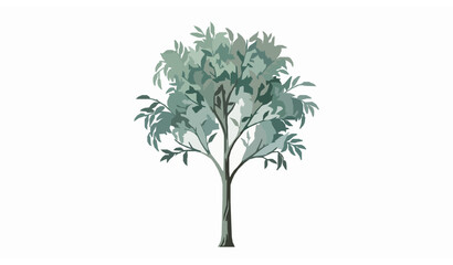 Realistic Eucalyptus Tree Vector Art Isolated on White Background © Sova