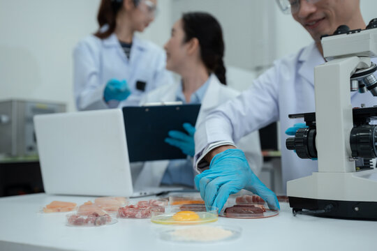 Team Food Safety Scientists Testing Meat Samples in Laboratory for Contamination and Chemical Residue Analysis.