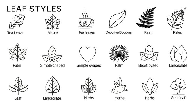 Various Leaf Styles and Shapes.