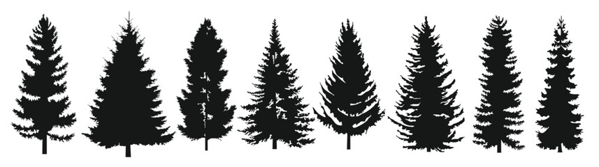 Set of black tree silhouettes isolated on white background, deciduous and pine fine forest shapes. Large collection of black and red pine tree silhouettes  © Zahoor