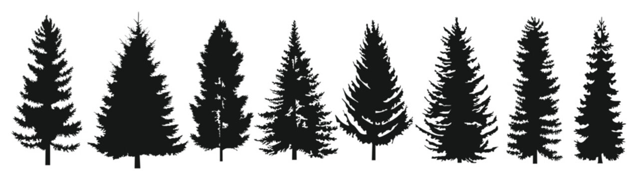 Set of black tree silhouettes isolated on white background, deciduous and pine fine forest shapes. Large collection of black and red pine tree silhouettes 