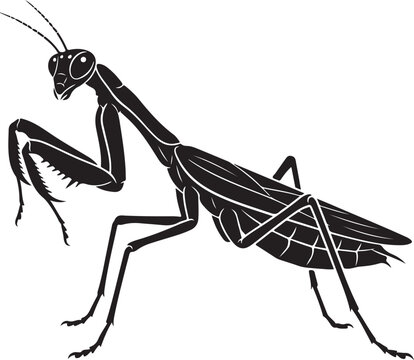 Praying mantis black silhouette vector. Insect icon. Mantis religiosa isolated. Bug vector illustration. Nature predator symbol. Wildlife graphic element. Minimalist insect design. Stencil art. Tattoo