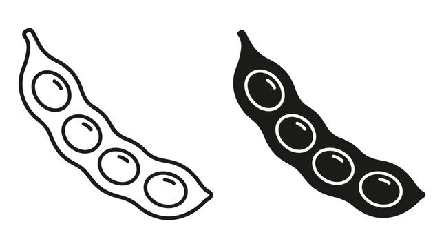 Minimalist vector illustration of a soy bean pod displayed in both outline and solid black styles