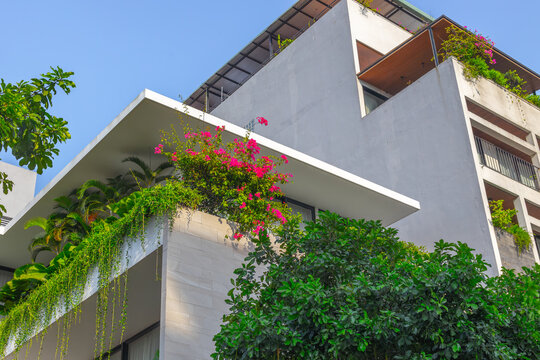 Residential building with balconies and hanging plants