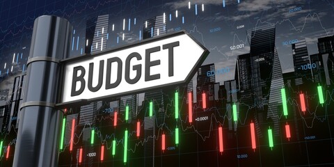 Budget - signpost and financial data - 3D illustration © PX Media