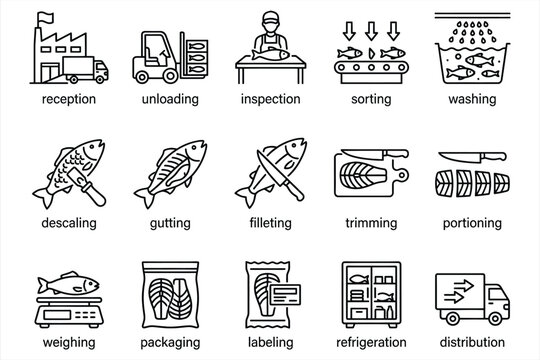 Comprehensive fish processing workflow infographic icons depicting reception unloading inspection sorting washing gutting filleting trimming portioning weighing packaging labeling refrigeration