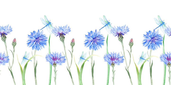 Watercolor seamless border with blue cornflowers and dragonflies isolated on white background. Hand drawn  floral frame for wedding invitations, summer stationery, fabric trim and scrapbooking design.