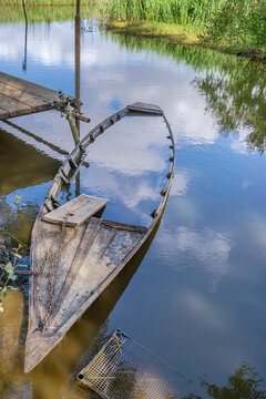 Traditional wooden boats from the Fucecchio marshes are filled with water to swell the wood and eliminate gaps between the planks, Casin del Lillo, Pistoia, Italy