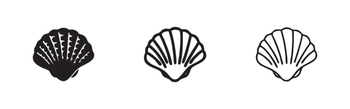 Marine Seashell and Scallop Collection Icons