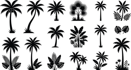 Fototapeta premium Tropical Palm Tree and Exotic Monstera Leaf Silhouette Vector Set with Summer Beach Plants for Vacation Coast and Botanical Nature Landscape Designs