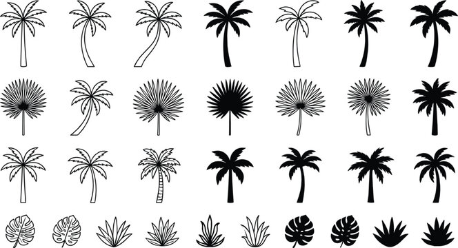 Tropical Palm Tree Silhouette and Fan Leaf Outline Icon Mega Pack for Summer Vacation Branding, Exotic Nature Layouts, and Beach Vector Graphics