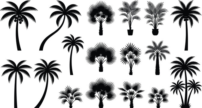 Tropical Palm Tree Silhouette Vector Set with Diverse Exotic Plants and Coconut Palms for Summer Beach Travel and Nature Landscape Designs