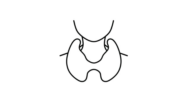 Artistic rendering of the human thyroid gland and surrounding structures conveying anatomical precision and biological symbolism for medical and educational purposes a clear line art representation.
