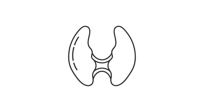 Anatomical Outline of Human Lungs Representing Respiratory System Health and Lung Capacity with Medical Iconography for Wellness and Healthcare Communication.