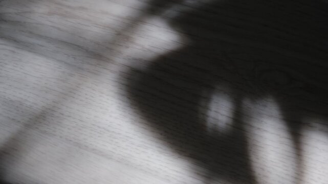 Grunge-style image of a textured wall with dramatic shadows. Wind-induced motion is suggested through blurred leaves, branches. High contrast lighting, moody atmospheres, alternative design