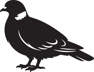 Obraz premium pigeon vector