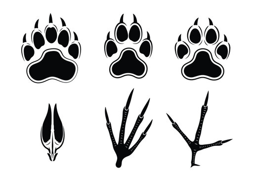 Black silhouette collection of animal paw prints bear claws deer hoof and bird feet tracks vector