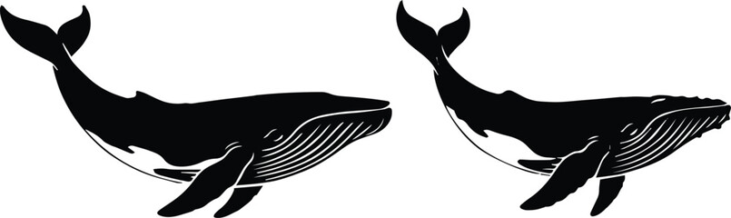 whale humpback pair line art symmetrical composition © AIcon Star