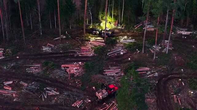 Harvester and forwarder working at night during clearcutting deforestation process