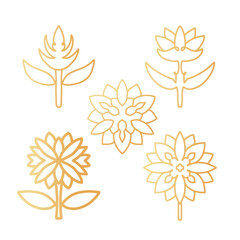 Fototapeta premium Logo Icon Flower Golden Symbol
