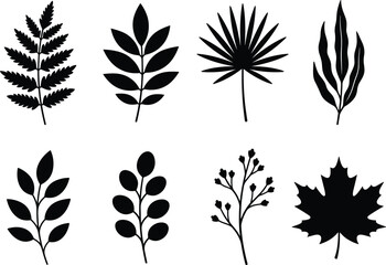 Botanical black silhouette collection of assorted leaves and branches featuring fern maple leaf palm frond and floral twigs © MDMEHEDI