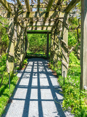 Naklejka premium Perspective of a traditional garden pergola with long shadows early on a sunny afternoon in spring, for motifs of hardscape design and horticulture, contrast, and pattern