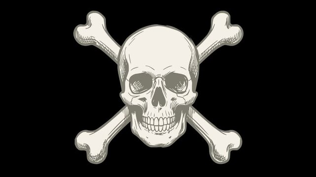 hand drawn style skull with crossbones looping animation on transparent alpha channel background for pirate or halloween design projects