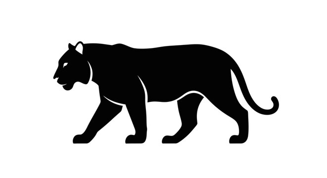Black Panther Silhouette Walking Alone.