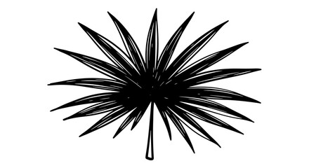 Fototapeta premium Black and White Palm Leaf Silhouette - Tropical Plant Icon