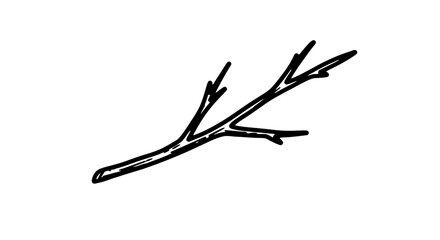Fototapeta premium Hand Drawn Branch Icon Isolated on White Background, Sketchy Twig Vector