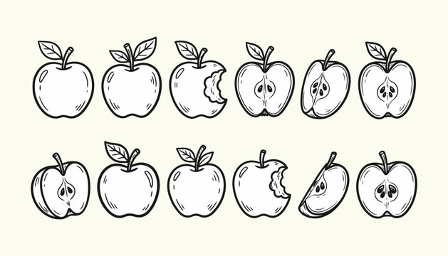 Hand drawn apple fruit illustrations set, whole, bitten, sliced, and half with seeds, black and white sketch.