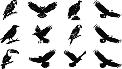 Obraz premium Bird silhouette vector collection of flying and perched birds isolated on white background including eagle owl parrot and crow icons
